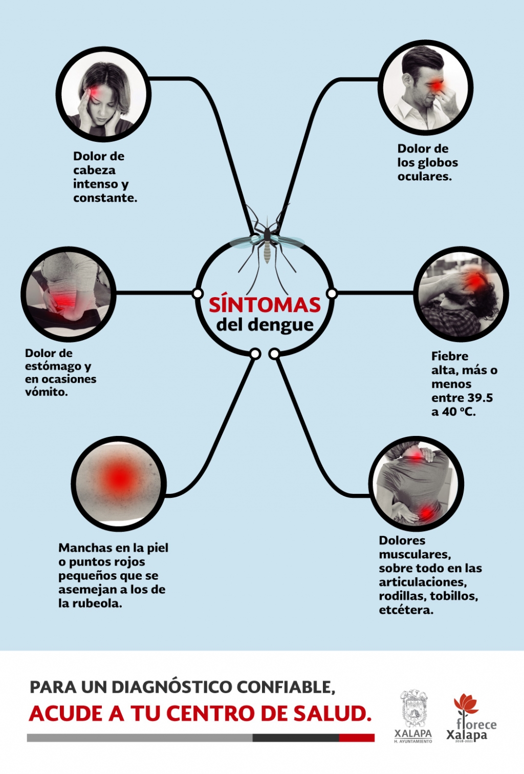 Buzón Xalapa Conoce los síntomas del Dengue y que hacer en caso de ser diagnosticado